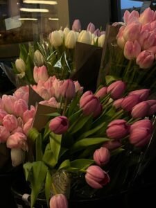 tulips