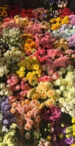 roses